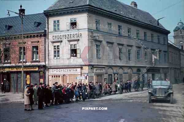 103 Schutzen Regiment 14th Panzer Division, Light Halftrack Sd. Kfz. 10, Yugoslavia, reaching Sarajevo on 15 April 1941.