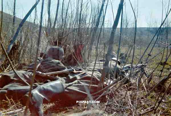 2 German Infantry soldiers with a MG 42 machine gun hiding in the long grass. Russian Front summer 1943