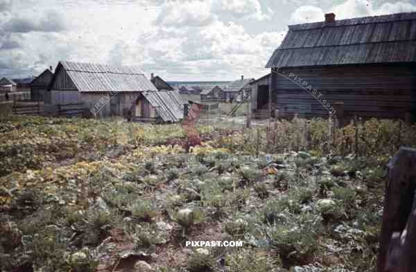 at the Beresina near Baryssau, Russia 1942