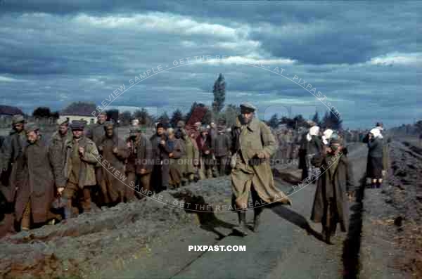 Captured Russian POW soldiers marched to camp, Ustiluh, Ukraine, Summer 1941,  94th Infantry Division,