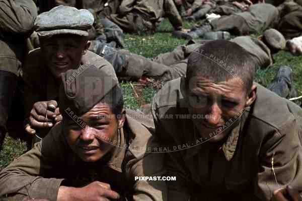 Captured Young Soviet Russian Soldiers POWs, Kiew Ukraine 1941. 