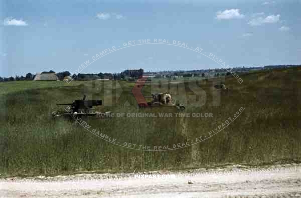 Destroyed tanks in the area of Dubno-Lutsk-Brody, Ukraine 1941