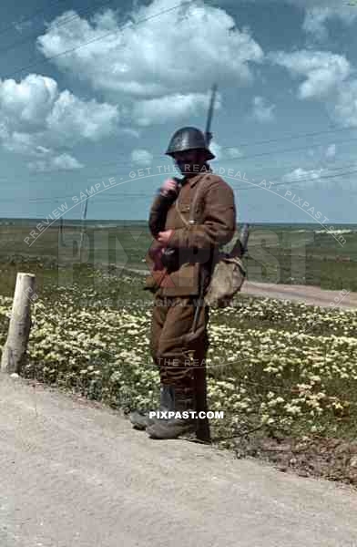 Don, Rostow, July 1942, Romanian infantry, 22nd Panzer Division, 1st Romanian Armoured Division.