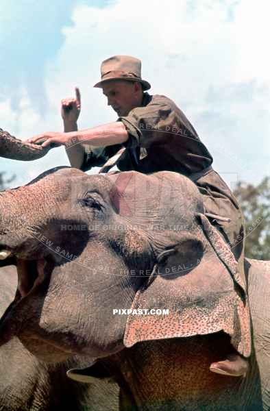 Elephant trainer with his elephant in Munich Zoo Hellabrunn 1940