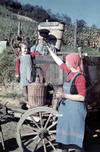 family on vineyard in Baden-Wuerttemberg, Germany ~1938