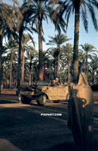 German Afrika Korp War Reporter sitting in his Army Jeep, Volkswagen kÃ¼belwagen 82, Karthago, Tunisia, 1942. 