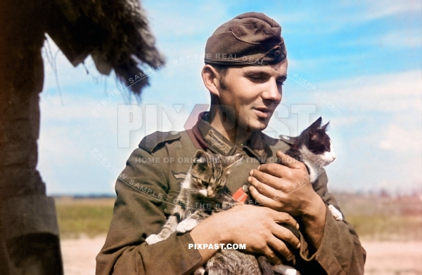 German army soldier with pet cats. red artillery piping cap and green Jager piping anti tank PAK unit. Russia 1942