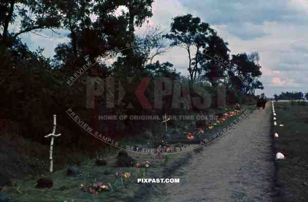 German army war graves with french graves. After the battle of france 1940