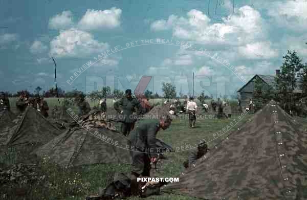 German infantry Constructing army tents in Field. Russia. 1941.  207. Infantry Division.