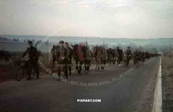 german infantry unit bikes france fields summer 1940