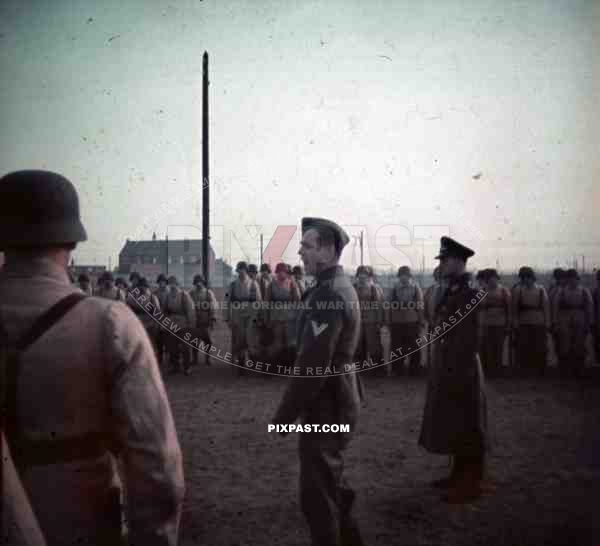 German Luftwaffe Flak AA Parade Inspection near Paris France 1940 anti aircraft