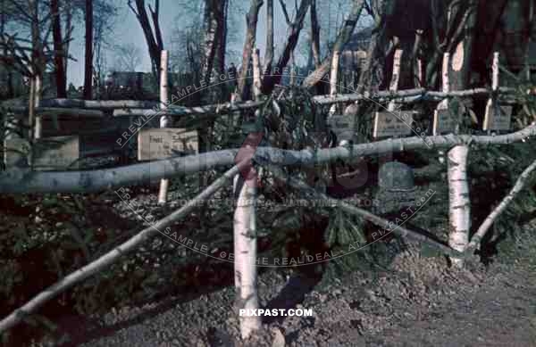 German medical red cross ambulance unit soldier war graves Russian front Operation Barbarossa 1941 helmet