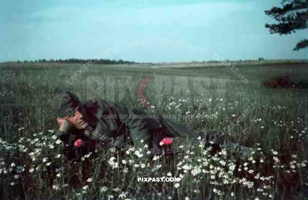 German soldier in flower field in Smolensk Russia 1942 summer. hitler moustache with glasses and hat.