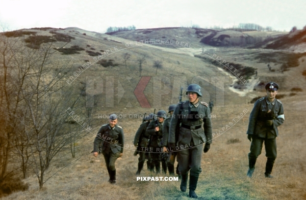 Germany Infantry of the Kavallerie Schutzen Regiment 6. Russia 1942. Traditionsabzeichen Schwedter Adler. White armband.