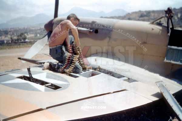 Loading ammunition into a Spitfire Mk V (trop) WZ-J JL237. 309th Fighter Squadron of the 31st Fighter Group. Sicily 1943.