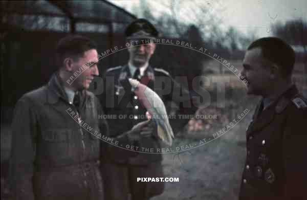 luftwaffe pilot with bird medals minsk 1942