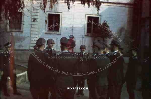 luftwaffe staff officers sicily 1942