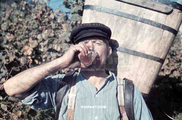 man drinking some wine on vineyard in Baden-Wuerttemberg, Germany ~1938