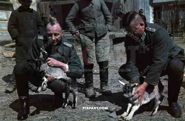 Medical Ambulance Unit, Heavy Artillery Abteilung (Battalion) 711 (motorized), Russian Front, 1942, Army Group Centre