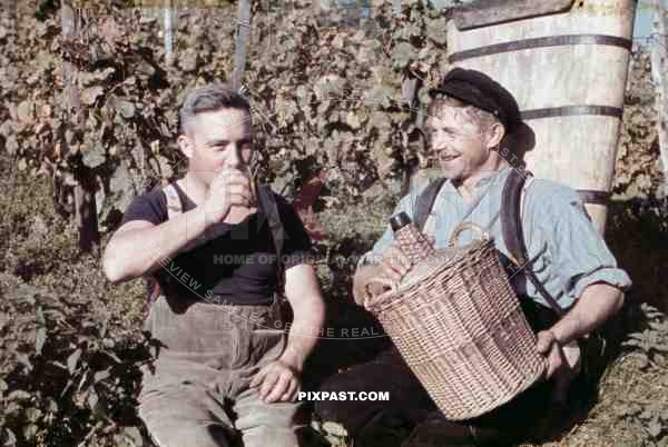 men drinking some wine on vineyard in Baden-Wuerttemberg, Germany ~1938