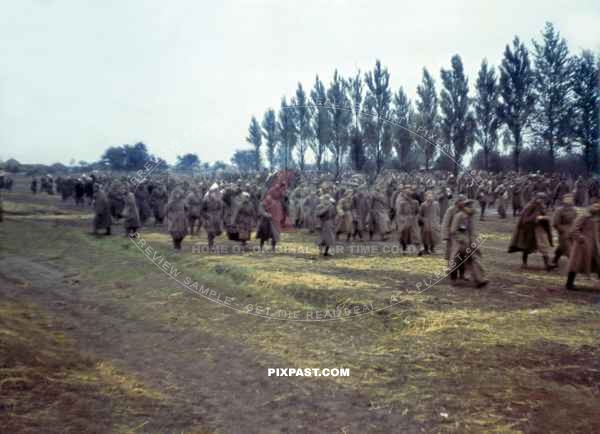 Russian Soviet troops being taken prisoner near Smolensk 1941 by units of the German 12th Panzer Division