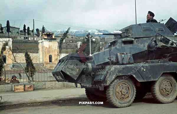 Sd.Kfz. 231. 8 Rad Armoured Car,  Krim, Crimea, 1942