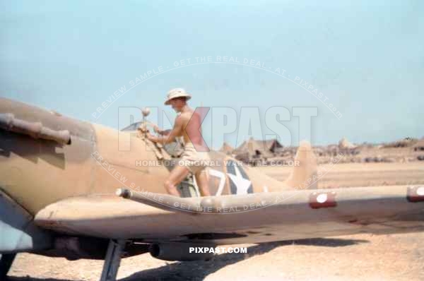 Spitfire Mk V (trop) WZ-J JL237. Gentleman Jim. 309th Fighter Squadron of the 31st Fighter Group USAAF. Sicily 1943.