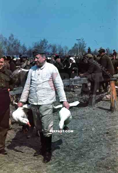 spring market in Turobin, Poland 1941