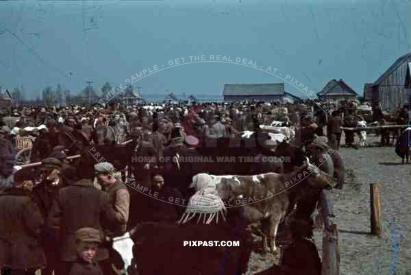 spring market in Turobin, Poland 1941