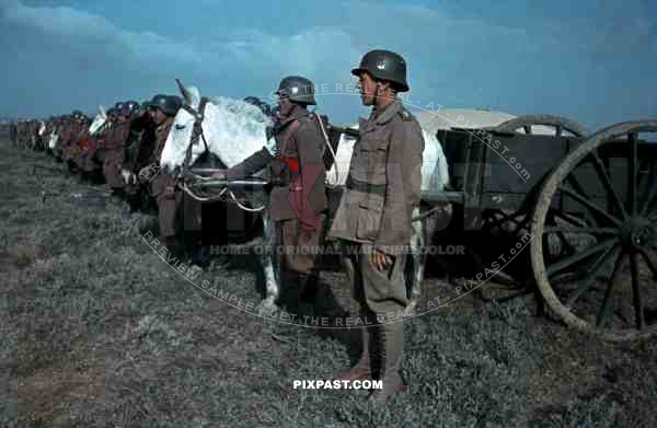 Tunisian Volunteers Parade for Erwin Rommel in Tunisia 1943. Freiwilligenbataillon Tunesien.