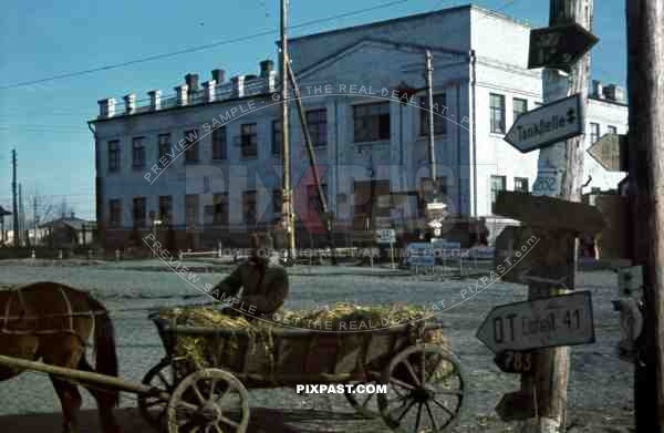 Ukrainian farmer in horse wagon in  front of High School in Ochtyrka, Ukraine, Winter 1941. 94. Infantry Division,