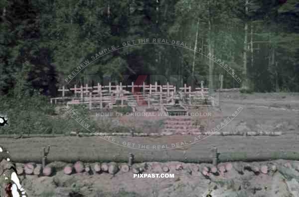 Wehrmacht graves in Luga, Russia ~1942