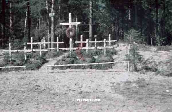 Wehrmacht graves in Luga, Russia ~1942