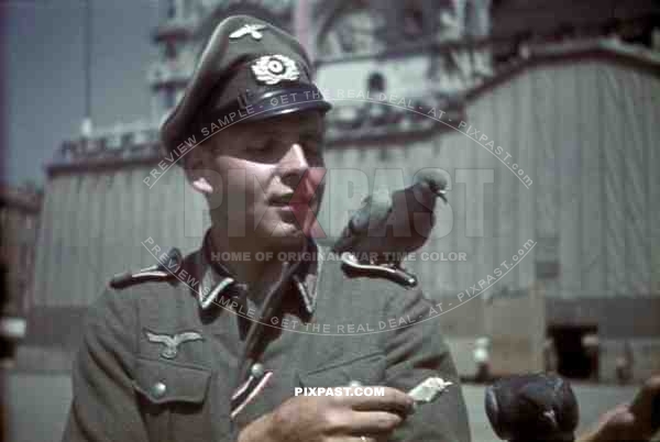 Wehrmacht soldier feeding pigeons in Venice, Italy 1943