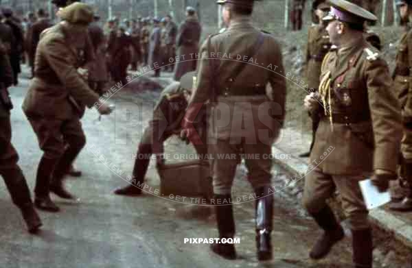 Wehrmacht soldiers being awarded in Jalta, Ukraine ~1942, Marshal Ion Antonescu