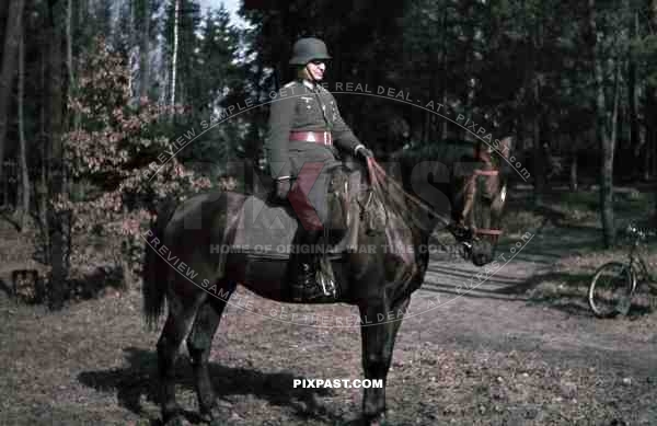 WW2 color 1940 Belgium wehrmacht officer awards medals horse cavalry forest portrait 207 Infantry Division Major Scheer helmet