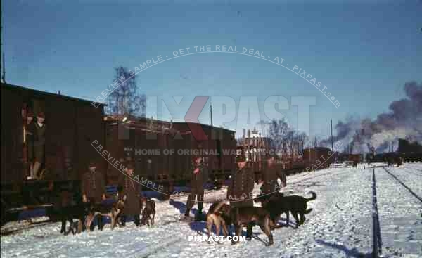 WW2 color Finland 1945 German Wehrmacht dog security train group locomotive station Hundestaffel