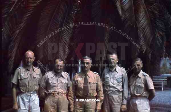 WW2 color Luftwaffe Field Division 2nd Lufllotte tropical staff portrait Villa Schuler FliegerKorp 2 Sicily 1943